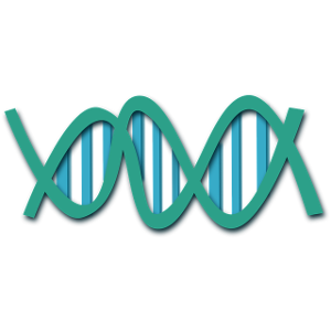 DNA PNG-48600